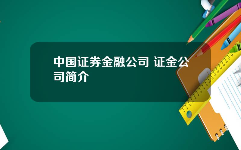 中国证券金融公司 证金公司简介